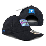 Vehicle Illustration Dad Caps