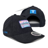 Vehicle Illustration Dad Caps